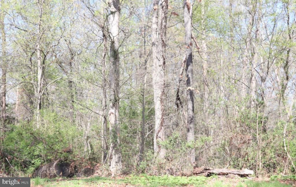 Image 7 of property listing at FAIRLEE RD, Chestertown, MD 21620