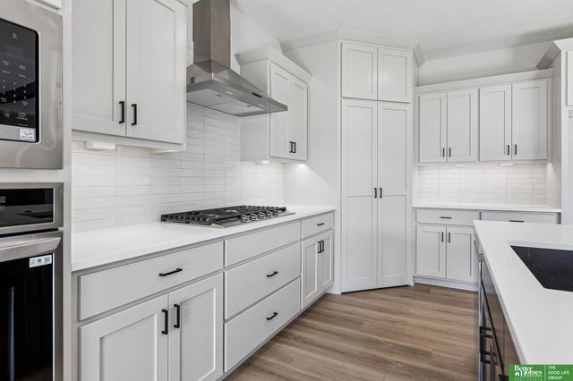 12375 lake Vista Drive, Papillion, NE 68046