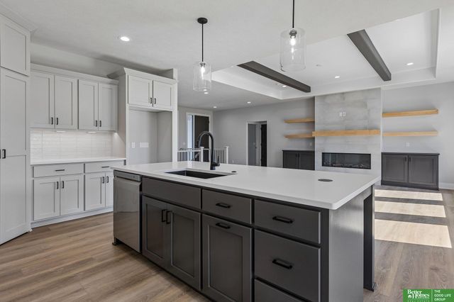 12375 lake Vista Drive, Papillion, NE 68046