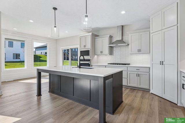 12375 lake Vista Drive, Papillion, NE 68046
