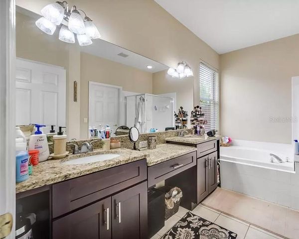 19151 DOVE CREEK DRIVE, Tampa, FL 33647