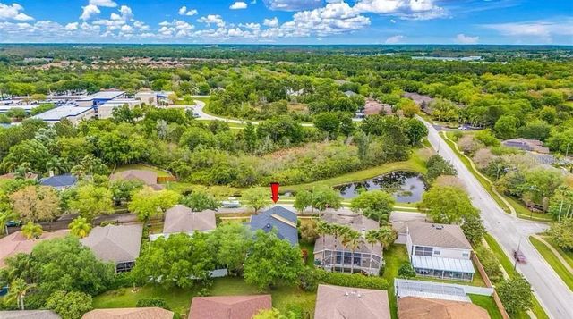 19151 DOVE CREEK DRIVE, Tampa, FL 33647