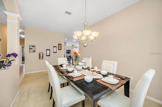 19151 DOVE CREEK DRIVE, Tampa, FL 33647