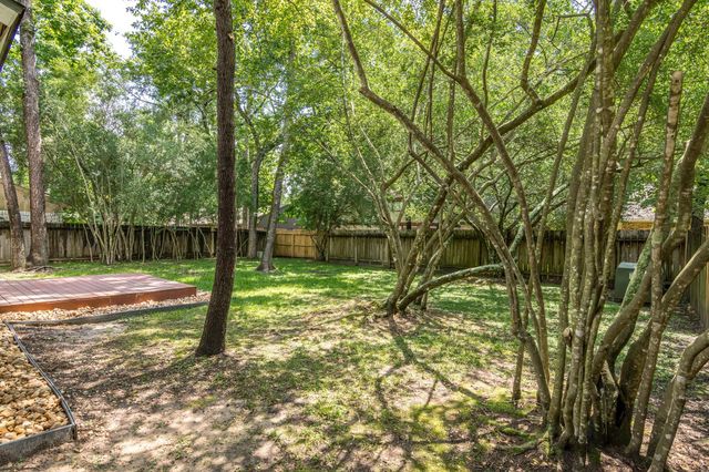 6 Basal Briar Court, The Woodlands, TX 77381
