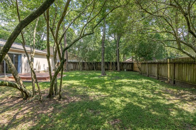 6 Basal Briar Court, The Woodlands, TX 77381