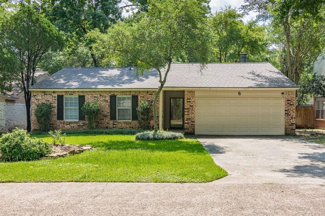 6 Basal Briar Court, The Woodlands, TX 77381