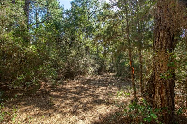 000 County Rd 151, Bedias, TX 77831