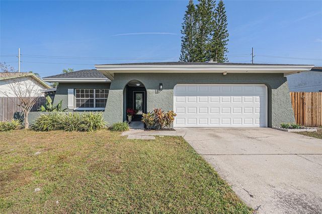 11707 CYPRESS PARK STREET, Tampa, FL 33624
