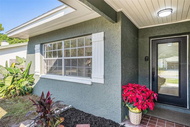 11707 CYPRESS PARK STREET, Tampa, FL 33624