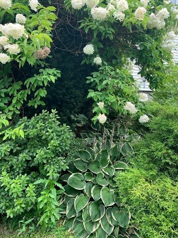 97 Hoyt Avenue, Lowell, MA 01852