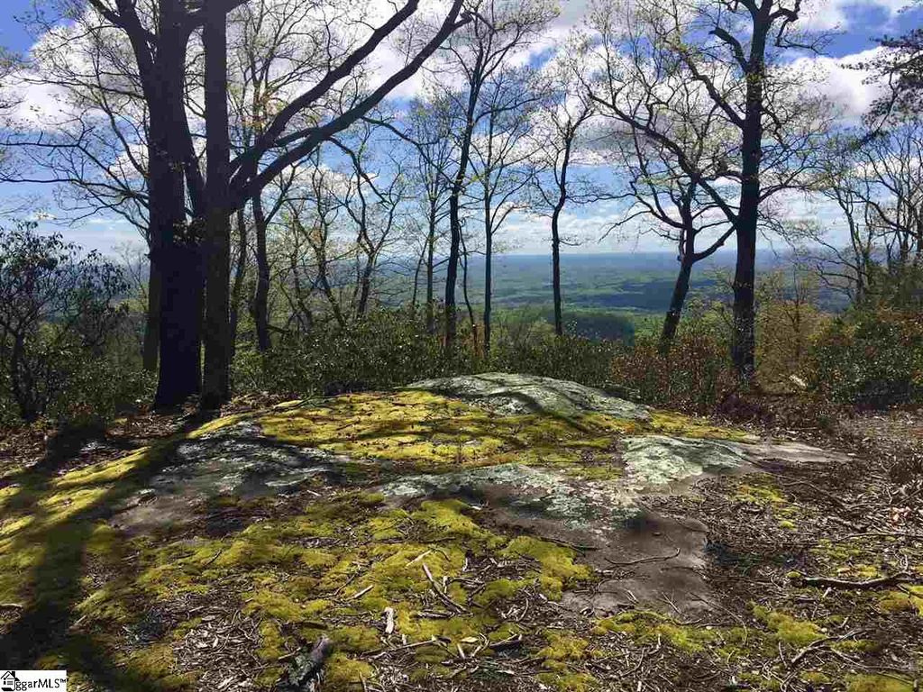 401 Stony Road, Landrum, SC 29356