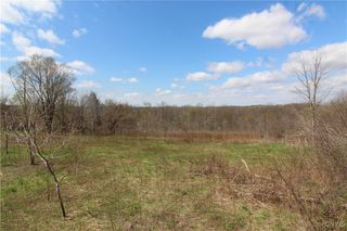 River Road, Elbridge, NY 13080