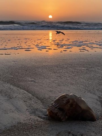 3000 OCEAN SHORE BOULEVARD 150, Ormond Beach, FL 32176