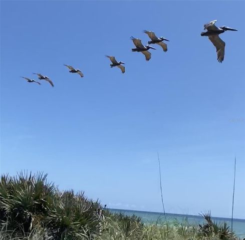 3000 OCEAN SHORE BOULEVARD 150, Ormond Beach, FL 32176