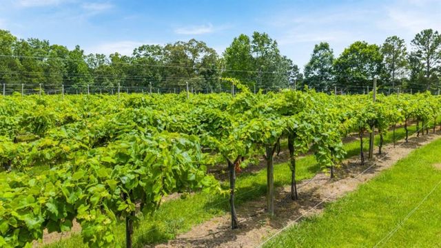 117 Crooked Lake Park, Villa Rica, GA 30180