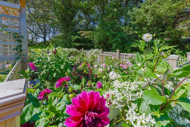 246 Stage Island, Chatham, MA 02633