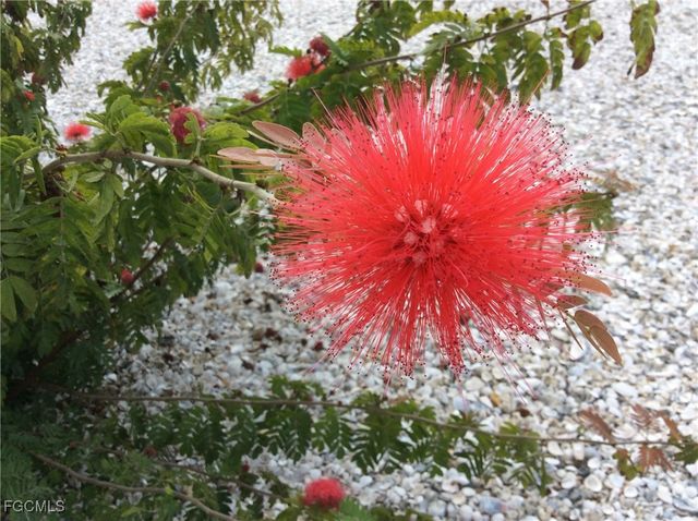 7300 Estero BLVD 503, Fort Myers Beach, FL 33931