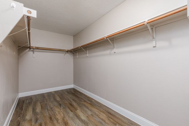 2228 Bradford Pear Drive, Little Elm, TX 75068