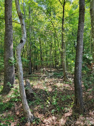 5326 Forestwinds Drive, York, SC 29745