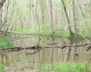 112 Westerfield Road, London, KY 40744