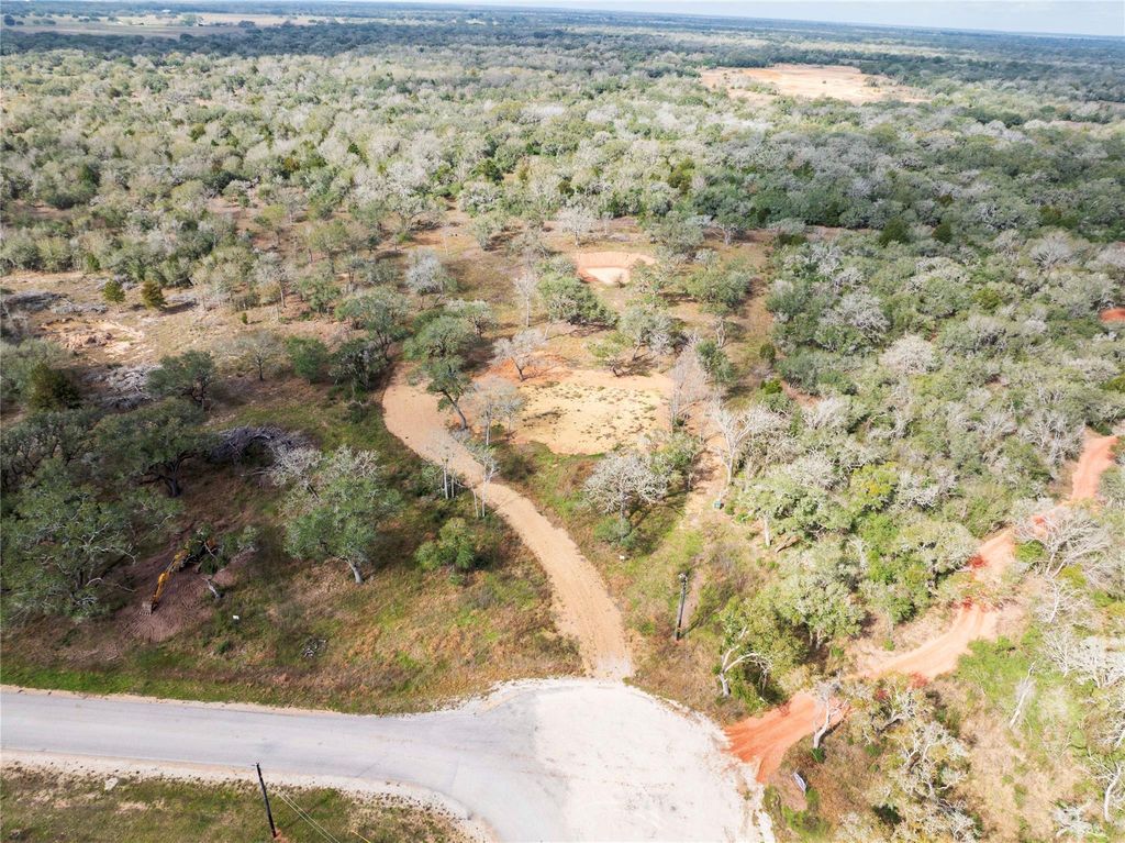 1178 Specklebelly LN, Columbus, TX 78934