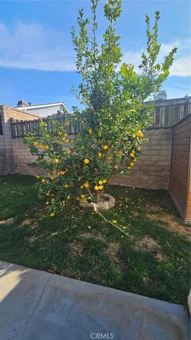 2368 Carrotwood, Brea, CA 92821