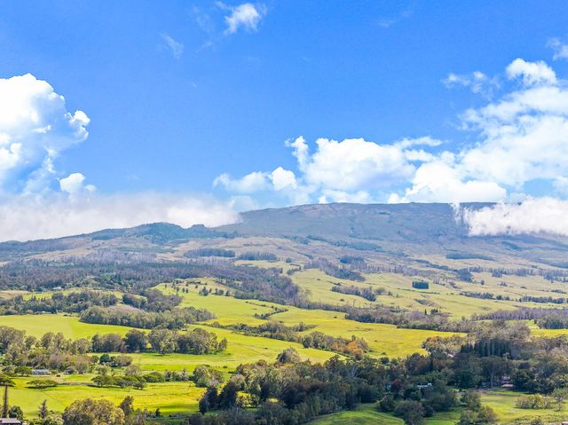 92 Makalani Pl, Makawao, HI 96768