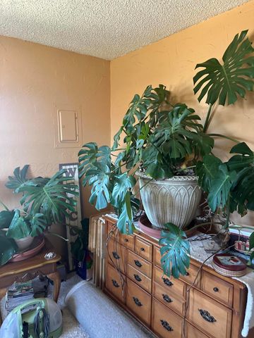 680 Evergreen Street, Borger, TX 79007