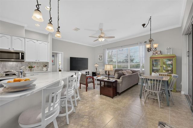 217 CREPE MYRTLE DRIVE, Groveland, FL 34736