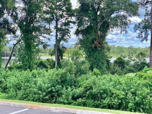 2550 N ALAFAYA TRAIL 9103, Orlando, FL 32826