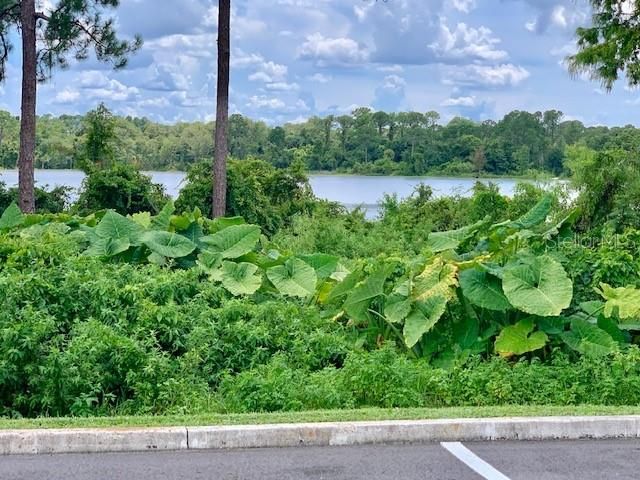 2550 N ALAFAYA TRAIL 9103, Orlando, FL 32826