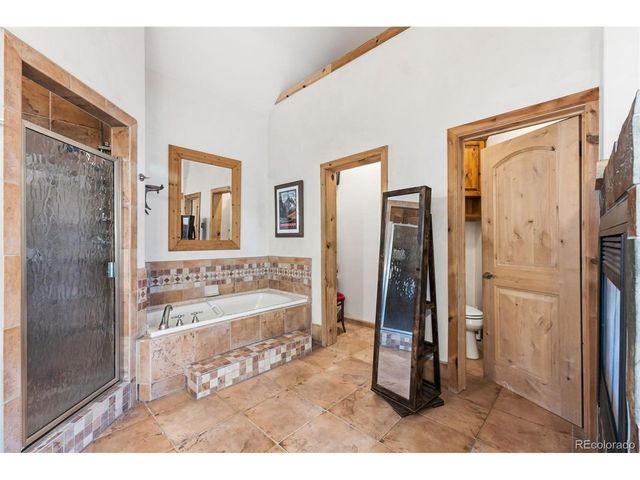300 Buckeye Creek Rd, Leadville, CO 80461
