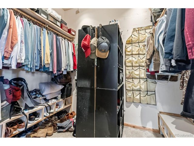 300 Buckeye Creek Rd, Leadville, CO 80461