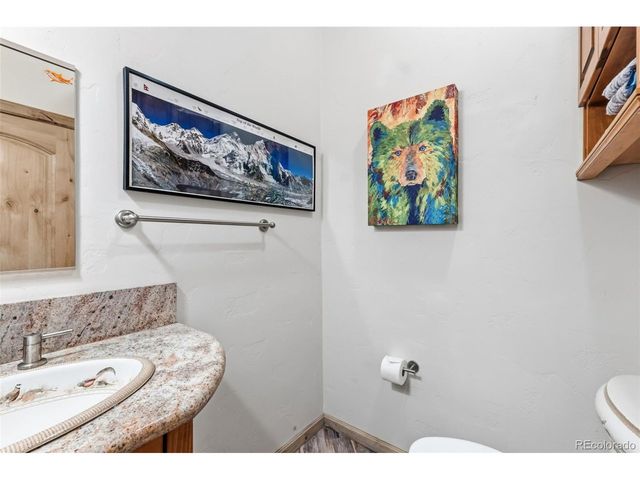 300 Buckeye Creek Rd, Leadville, CO 80461