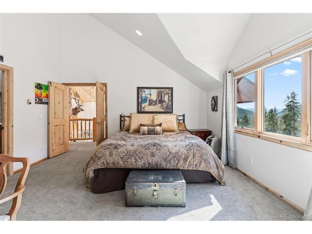 300 Buckeye Creek Rd, Leadville, CO 80461