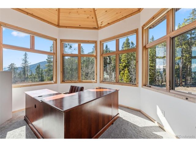 300 Buckeye Creek Rd, Leadville, CO 80461