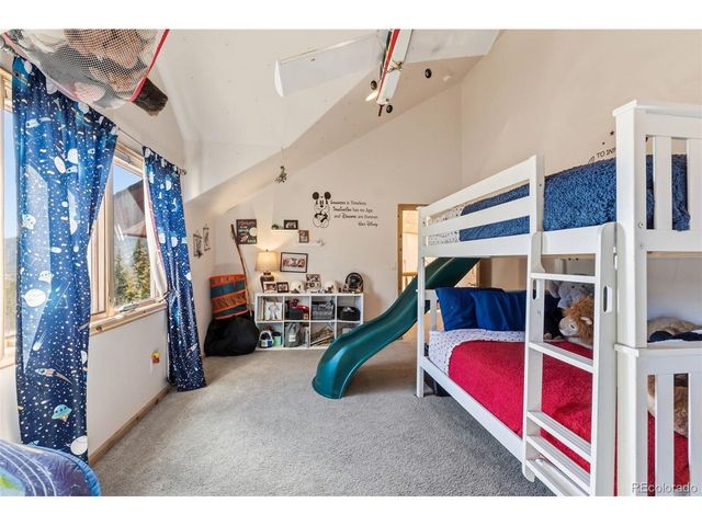 300 Buckeye Creek Rd, Leadville, CO 80461