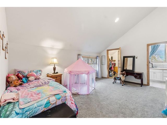 300 Buckeye Creek Rd, Leadville, CO 80461