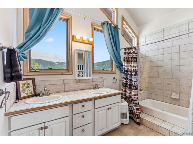 300 Buckeye Creek Rd, Leadville, CO 80461
