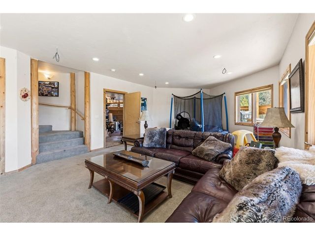 300 Buckeye Creek Rd, Leadville, CO 80461