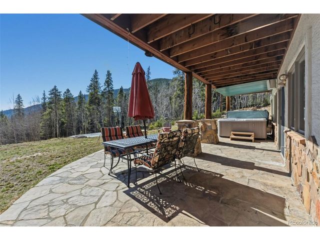 300 Buckeye Creek Rd, Leadville, CO 80461