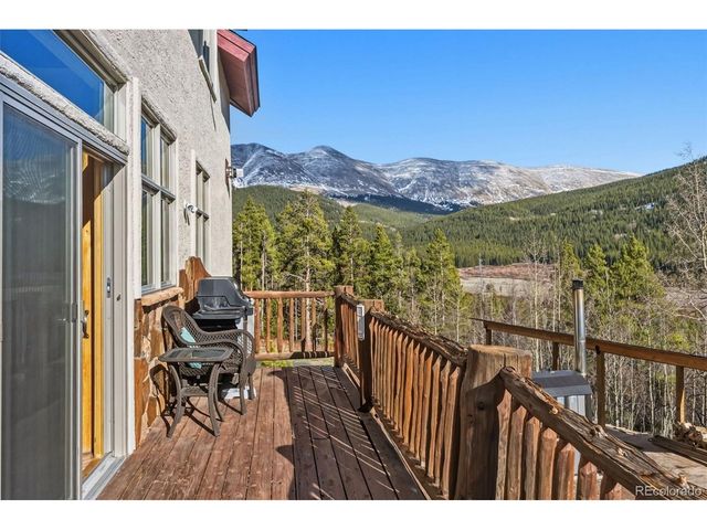 300 Buckeye Creek Rd, Leadville, CO 80461