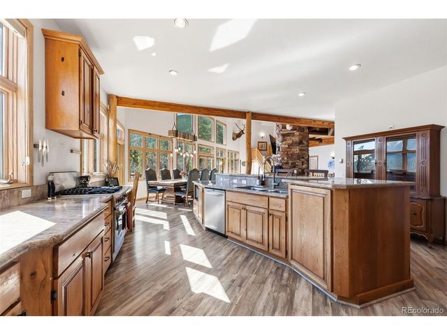 300 Buckeye Creek Rd, Leadville, CO 80461