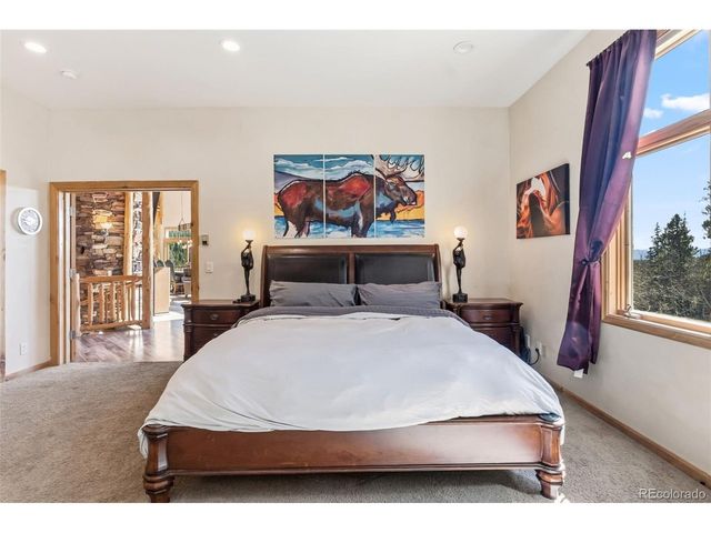 300 Buckeye Creek Rd, Leadville, CO 80461
