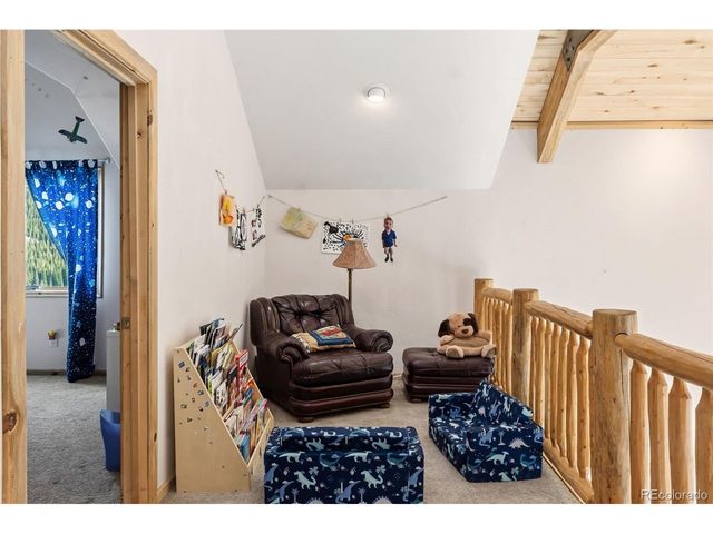 300 Buckeye Creek Rd, Leadville, CO 80461