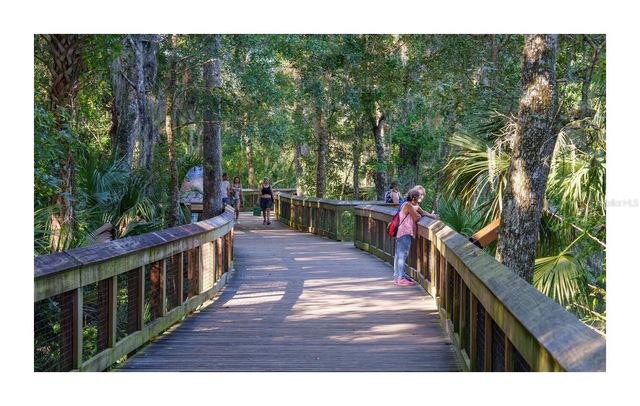388 SWEETWATER SPRINGS ST, Debary, FL 32713