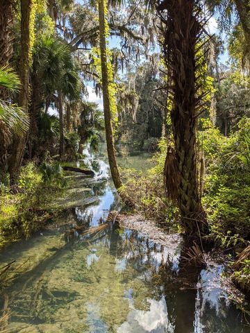 388 SWEETWATER SPRINGS ST, Debary, FL 32713