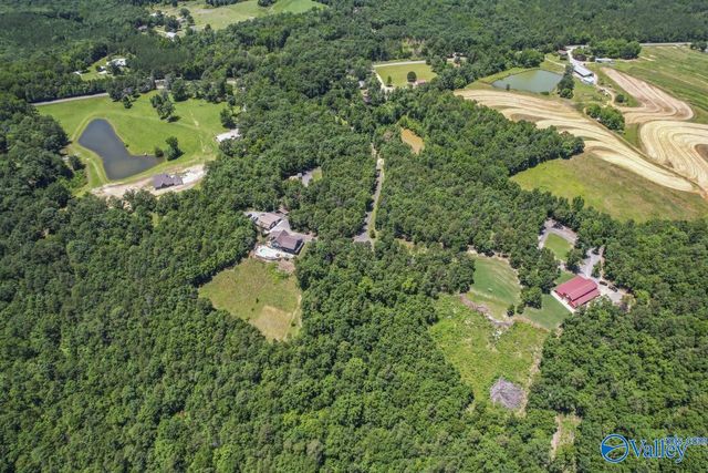 8879 County Road 27, Springville, AL 35146