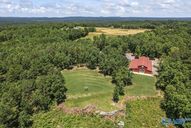 8879 County Road 27, Springville, AL 35146
