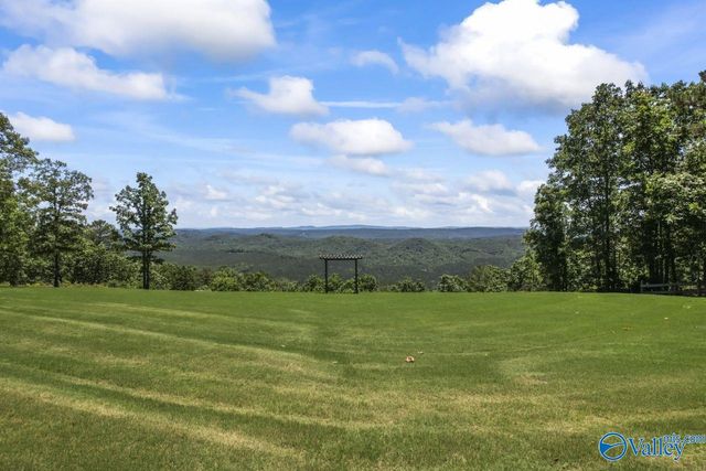 8879 County Road 27, Springville, AL 35146